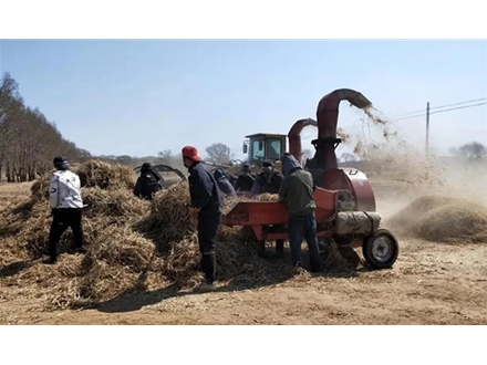 內(nèi)蒙古大力草場(chǎng)