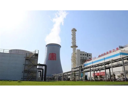 河北華英發(fā)電廠(chǎng)